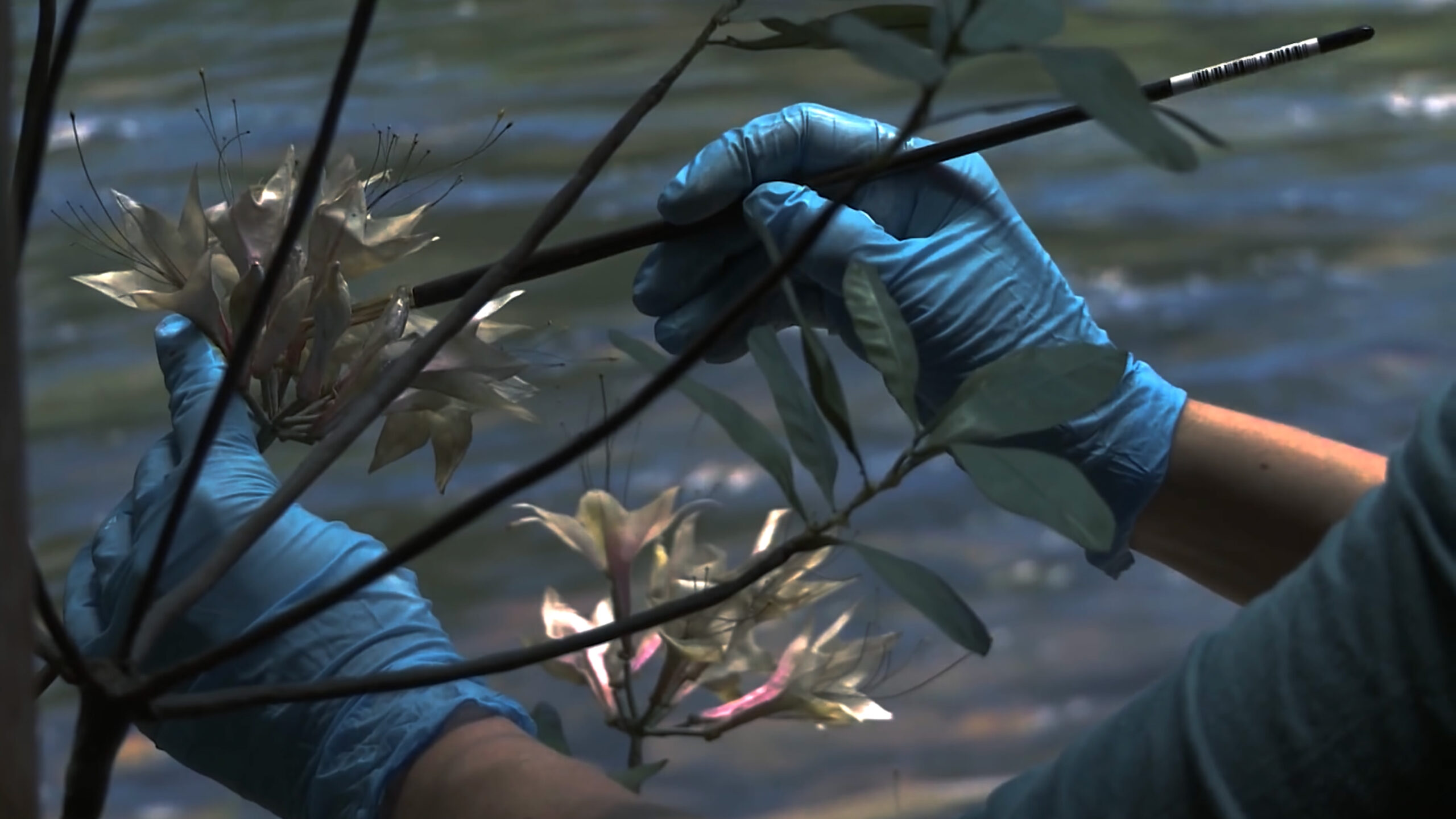 3_Green_Grey_Black_Brown