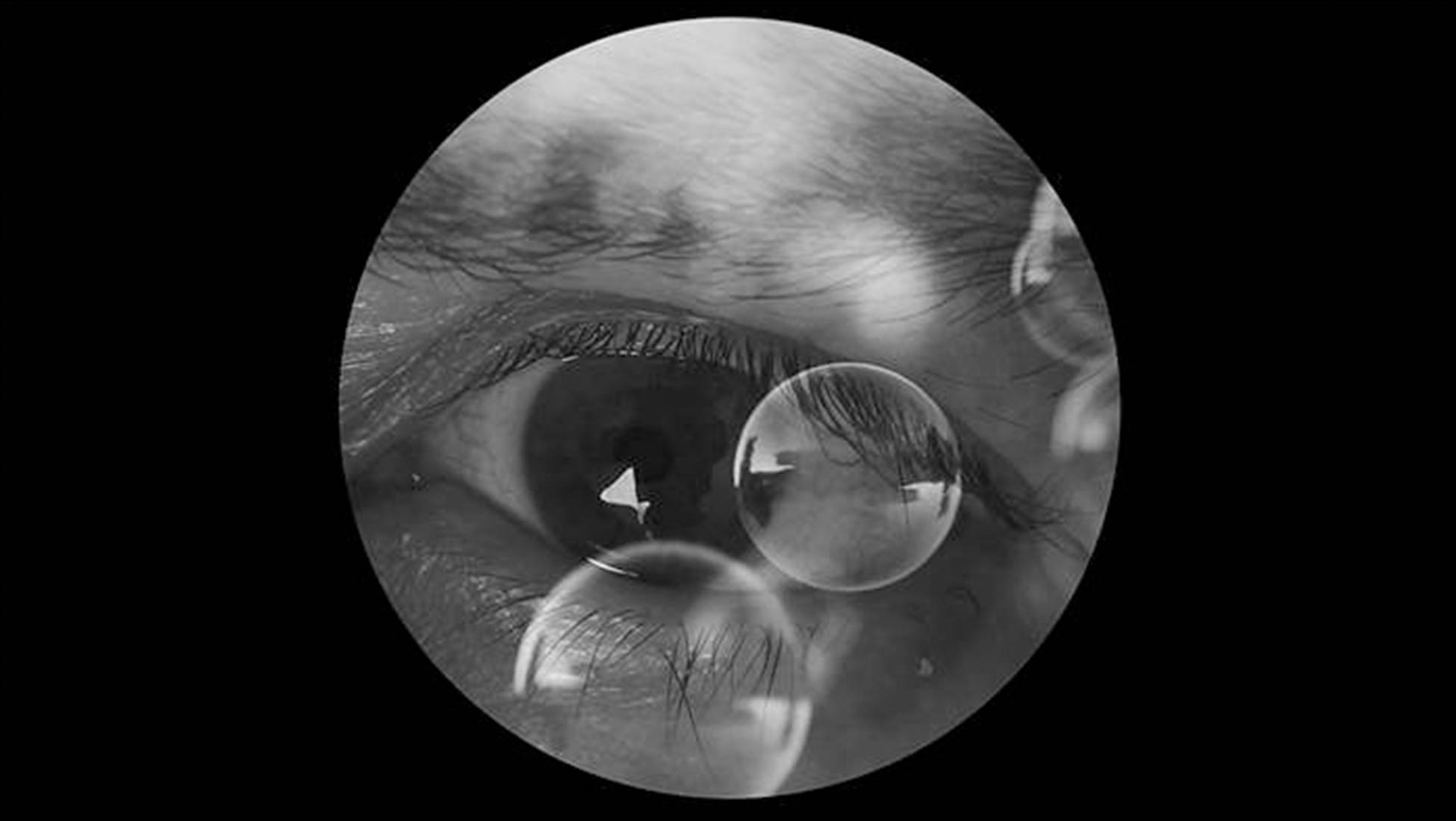 Eric-del-Castillo-More-Than-Human